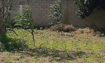 Imagem 6: Vendo lote em Loteamento Murado com Guarita