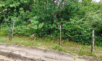 Imagem 3: Terreno Salinas - Salinópolis