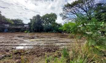 Imagem: Lote/Terreno para aluguel possui 1000 metros