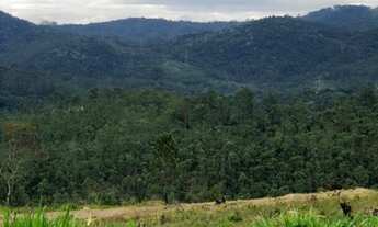 Imagem 4: Terreno para venda possui 1000 metros quadrados em Centro - Mairiporã - SP