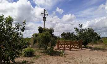 Imagem: Otima Granja com 3 hectares na região de