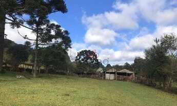 Imagem 3: Sítio no bairro Capão Alto em São Francisco de Paula!