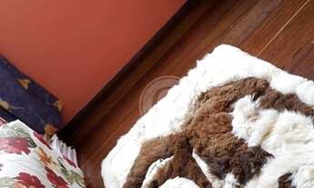 Imagem 7: Sobrado com 3 dormitórios à venda, 170 m² por R$ 880.000,00 - Butantã - São Paulo/SP