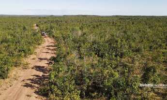 Imagem 7: Fazendas em Tocantins