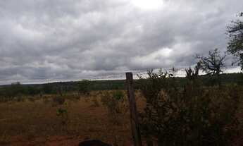Imagem 5: Fazenda de 204 hectares. dupla aptidão