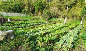 Imagem: Terreno a Venda com 20.000m² no bairro
