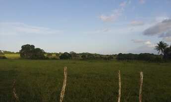 Imagem 4: Terreno Terreno / lote com venda por R$15.000