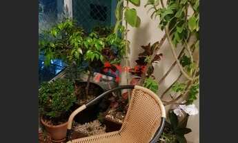 Imagem 7: Apartamento à venda, Ipiranga, São Paulo, SP