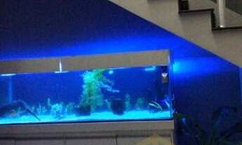 Imagem 5: Casa - Jardim dos Colibris - Indaiatuba