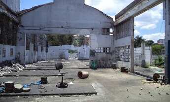 Imagem 7: Terreno à venda, 2.750 m² 20 metros de frente x 120 metros da frente aos fundos de ambos