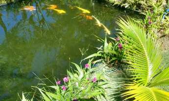 Imagem 7: Apartamento com 02 DORM's. na Praia do Sapê / Maranduba