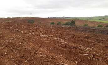 Imagem 4: Fazenda 46 Alqueires, Região de Piracicaba-Sp