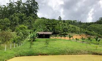 Imagem 3: Sítio 2 Quartos Benedito Novo - SC - Consulte