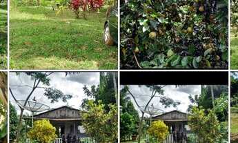 Imagem: Vende-se uma chácara R$ 55,000 no Bujari