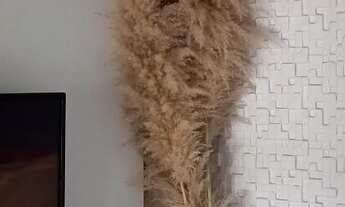 Imagem 4: Sobrado em guaiba