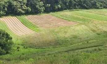 Imagem 2: Lote/Terreno para venda com 600 metros quadrados em Parque Suburbano - Itapevi - SP