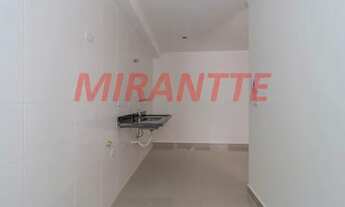 Imagem 4: Apartamento de 52m² com 2 quartos em Tucuruvi