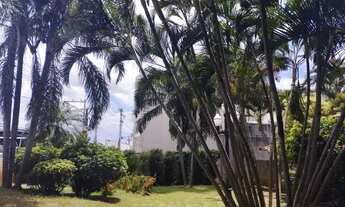 Imagem 2: CHÁCARA NO CENTRO DA CIDADE