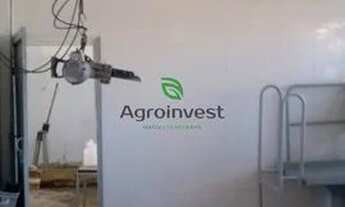 Imagem 6: Abatedouro em Pires do Rio-GO