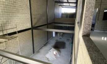 Imagem 5: Galpão em Tauá - Rio de Janeiro