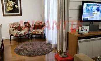 Imagem 2: Apartamento de 62m² com 3 quartos em Vila Amalia