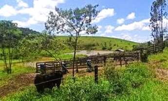 Imagem 4: Área à venda, 48400 m² por R$ 77.000,00 - Área Rural de Lorena - Lorena/SP