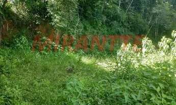 Imagem 4: Terreno em Centro