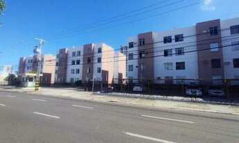 Imagem 4: FRANCISCO OLIVEIRA M.CC