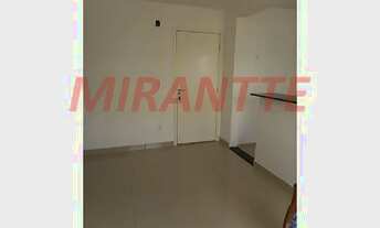 Imagem 3: Apartamento de 46m² com 2 quartos em Palmeiras