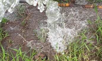 Imagem 7: Propriedade com 88 hectares em Tamandaré PE