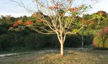 Imagem 7: Fazenda entre KM 50 e 60 da BR174. 10.360.000m2. Benfeitorias + AREAL 250.000m2 LICENCIADO