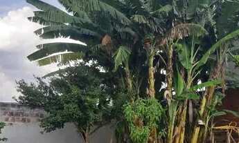 Imagem 4: Vendo casa na Arniqueira