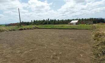 Imagem 3: Terreno Marechal