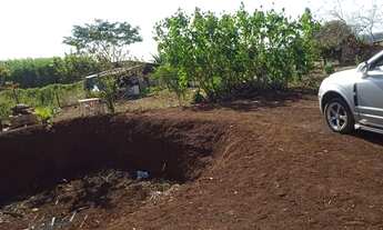 Imagem 3: Chácara a venda