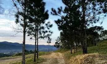 Imagem 4: Vendo meu terreno em área rural