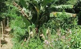 Imagem: Terreno em São Lourenço da Serra