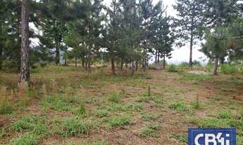 Imagem 3: Terreno à venda, 1.690.000 m² por R$ 90.000.000 - Itaipava - Petrópolis/RJ