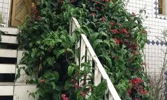 Imagem 7: Sobrado c/ 2 residências na mooca, a 600 m do metrô