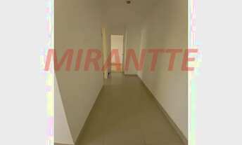 Imagem 7: Apartamento de 46m² com 2 quartos em Palmeiras