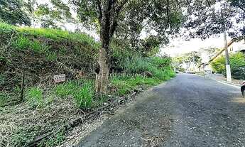 Imagem 3: Cód.: 11024 - Parque das Palmeiras