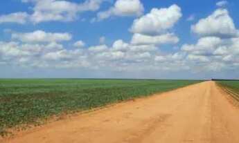 Imagem: Fazenda Auriflama 40 alqueires com cana