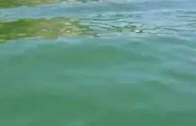 Imagem 7: Casa na Praia para Locação em Angra dos Reis, Praia da Ribeira, 2 dormitórios, 2 banheiros