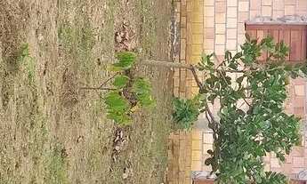 Imagem 2: Lindo Terreno com casa em Manacapuru