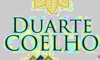 Imagem 2: Apartamento em Rio Doce próximo a escola Patrícia Costa