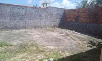 Imagem 3: Aluguel velados pássaros 1