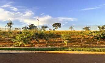 Imagem 5: Quinta do Lago 2 Lac Léman - Terreno