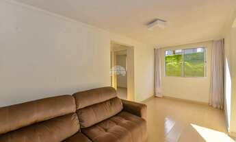 Imagem: Vendas Apartamento Curitiba PR