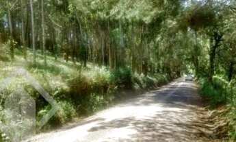 Imagem 2: Propriedade Rural no bairro Ana Rech