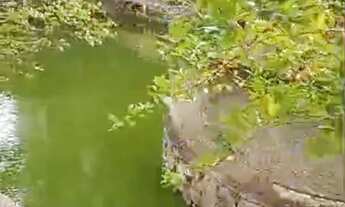 Imagem: CHÁCARA EM MARATAIZES