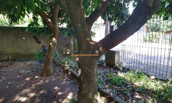 Imagem 3: Terreno/casa nos fundos REF: 1420